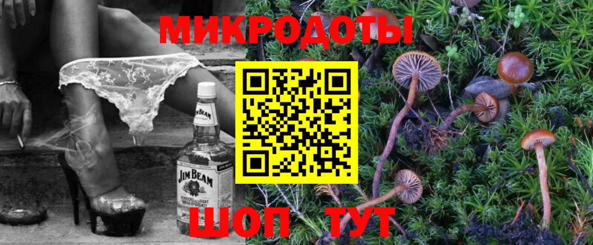 Псилоцибиновые грибы Cubensis Кострома