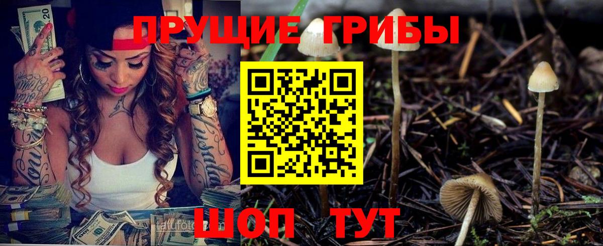 Псилоцибиновые грибы Magic Shrooms  Галлюциногенные грибы Psilocybine cubensis  Кострома  Вход с VPN 